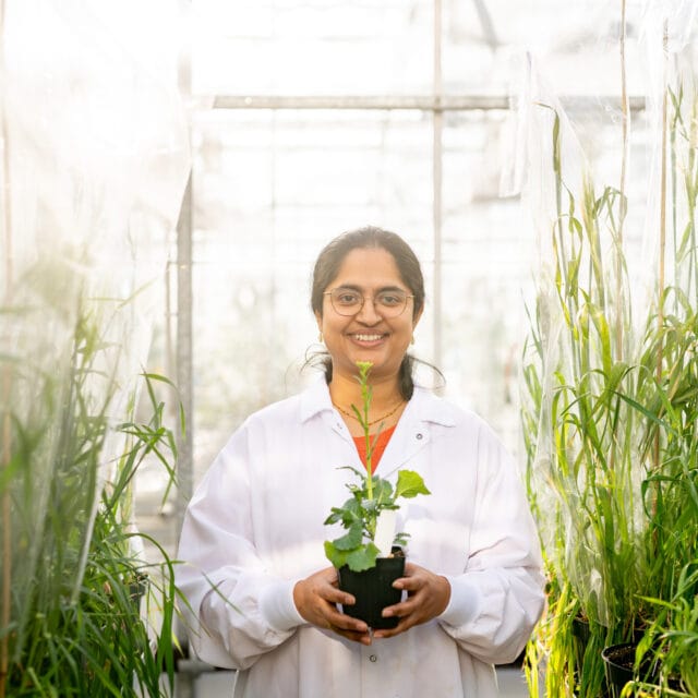 A women stands in a greenhouse.